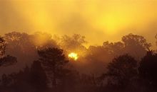 班级五组口号大全霸气