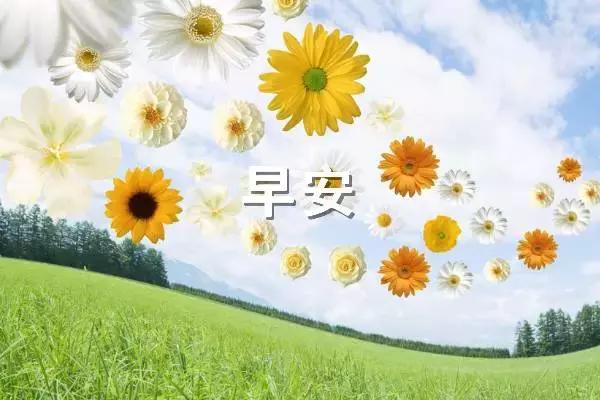 27，我希望生活在你的生活中，温柔，有趣，不需要过于凶猛，三餐，四季，不必太匆匆，毕竟我必须浪费你。