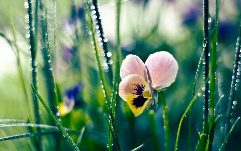 15.铁杆六甚至，它一定是首先。