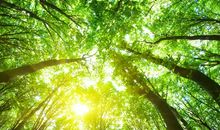 第五组创意口号