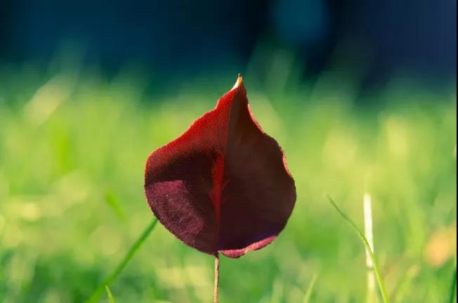 晚安朋友圈谈到图片