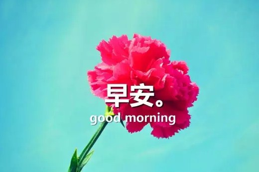 高智代人爱情故事，早上好