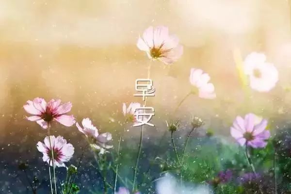 早上好，温暖的问候短句