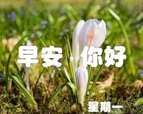 高震是一个爱情故事，早上好1