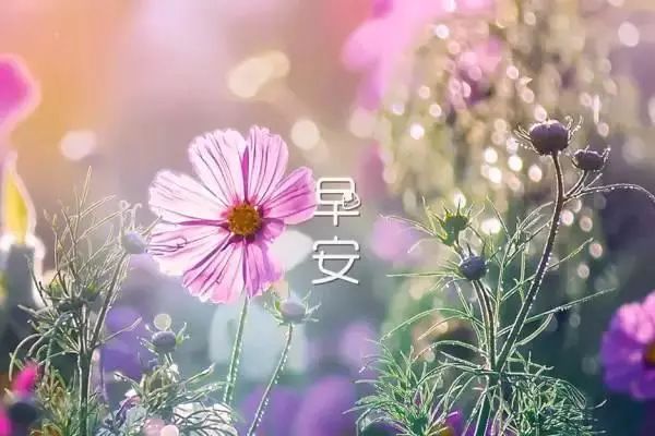 早上好，温暖，一个温暖的心，1