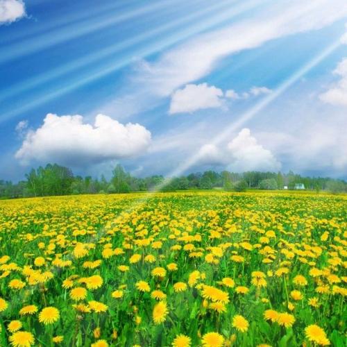 五级小组Slogan Daquangenete 1