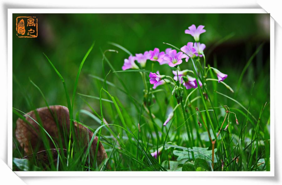 匹配口号霸气押韵八个字符1