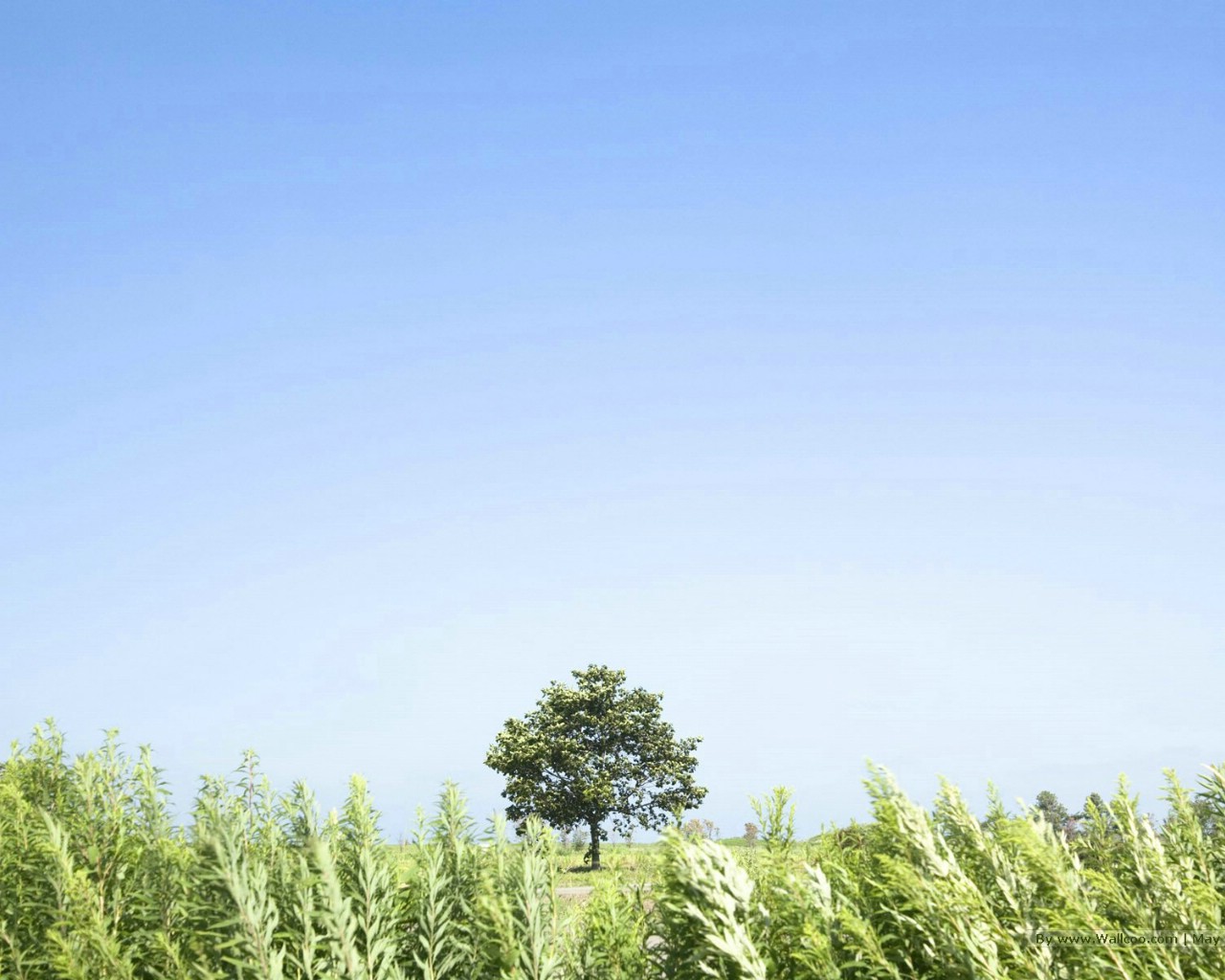 15.自我完善，厚厚的道德。