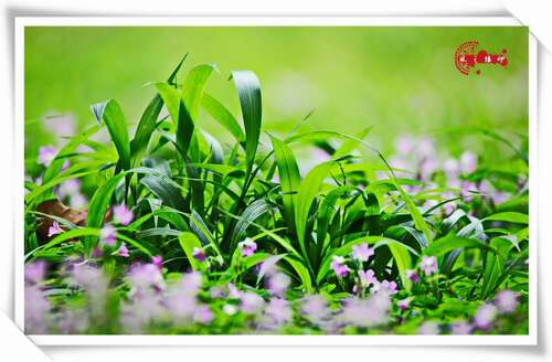 强制八个字符口号霸气押韵