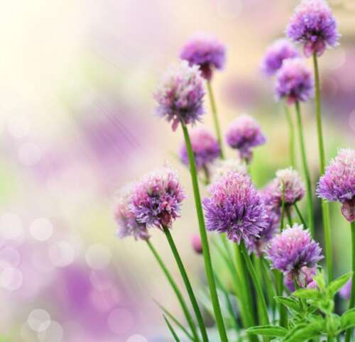 32.如果,不是幸福,如果,不满,请放手;如果,不能放手,然后疼痛。