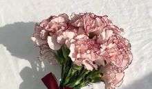 温暖的一句话 温柔到爆的神仙句子