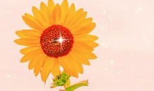 积极向上的正能量句子 发朋友圈鼓舞人心