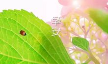 适合发朋友圈的早安暖心话