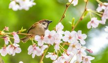 冲锋小组口号大全