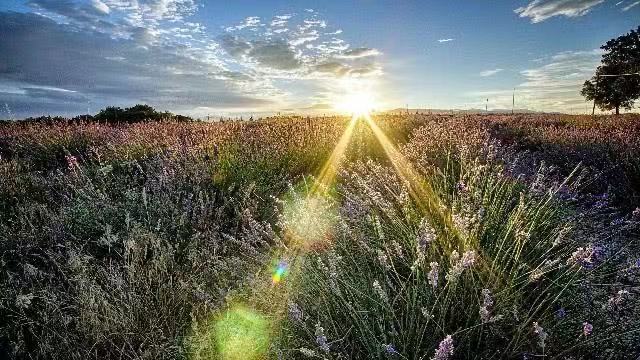 15.创意一流,勇敢地创造一个新的高。