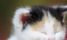 餐饮部团队结束口号