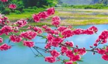 致友情古风唯美的句子