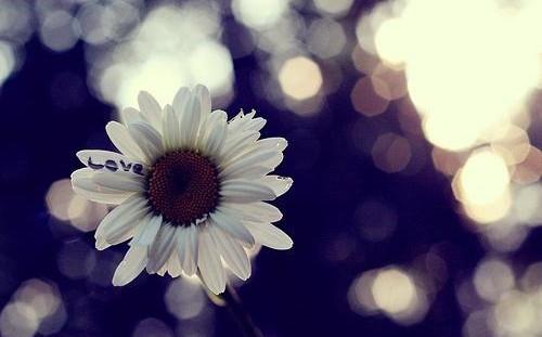 关于朋友的判决