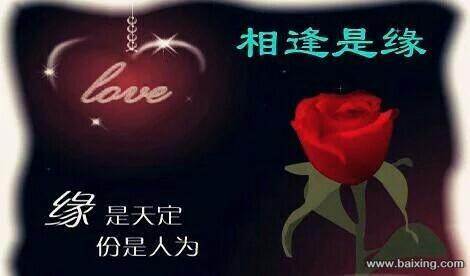 爱新年问候大全