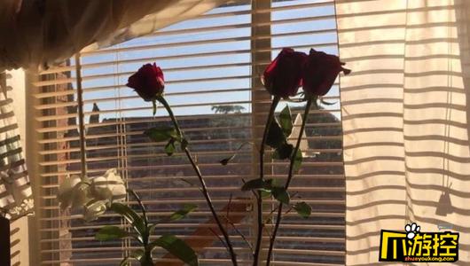 2021微信谈到了朋友的圈子