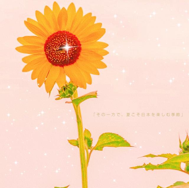 特殊现实，坚实，有毒的鸡汤句