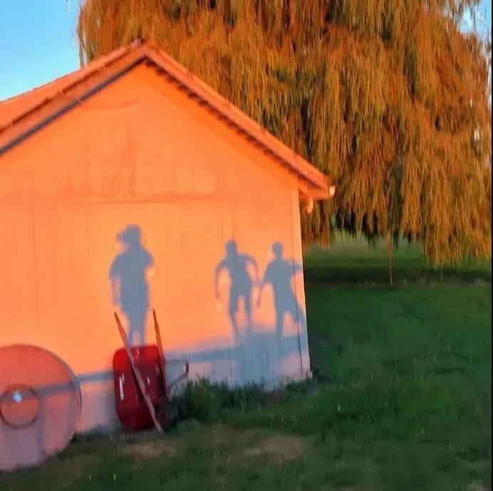 12，你现在必须做：阅读更多，按时睡觉，然后变得温柔，大，继续善良，保持可爱。