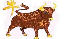 春节祝福语八个字牛年