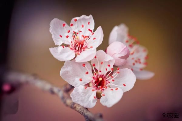 非常现实的爱情光彩判决只是一个明确的手段,不足以喜欢你1