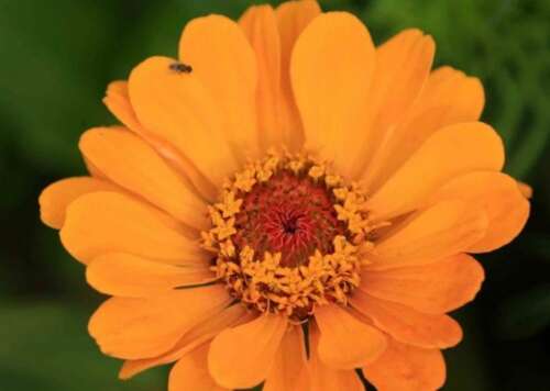 70,只要精神不是滑坡,方式比问题更困难。在2021年的第一天,你好。