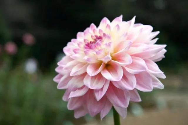 早上好短句温暖心脏1