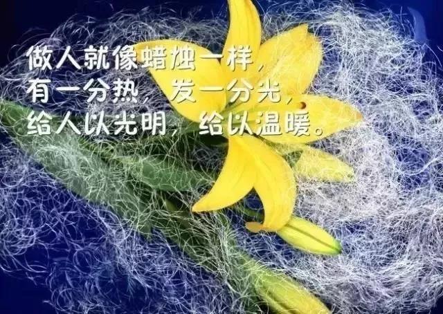 早上好短句温暖的心