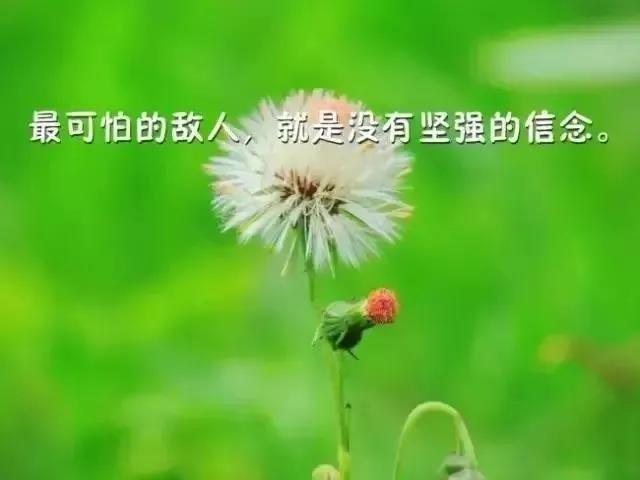 18.如果你不想努力工作，你必须等一段时间。现在，你现在是什么样的解析，将来会出现什么样的风景。你期望的每一个美好​​的未来都必须依靠斗争来练习。早上好！