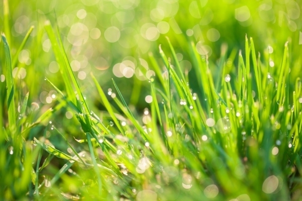 40，忘了过去，埋葬了回忆。等待最后的结局