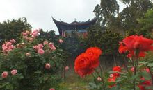 关于友情自私的句子