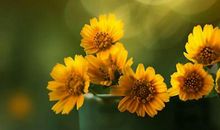 友情首尾呼应句子