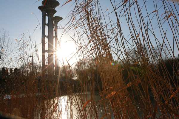 早上好，最美丽的图片问候1