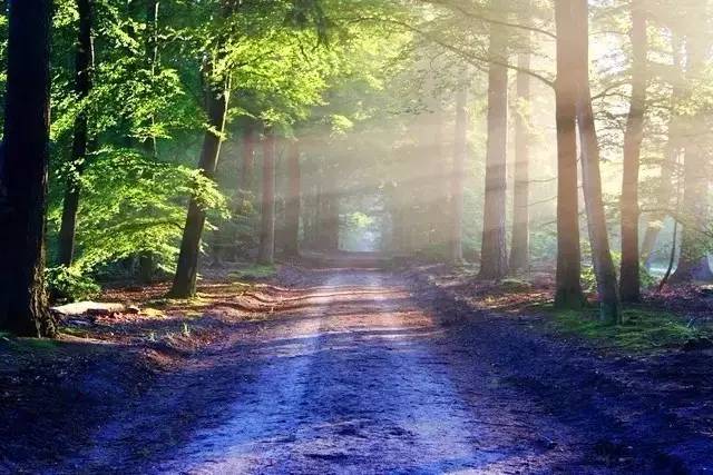 早上好，最美丽的照片问候