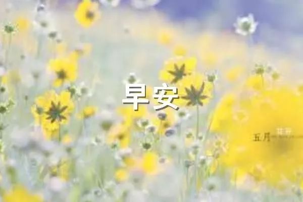 24.当你如此善良时，你周围的一切都会变得更好。早上好〜