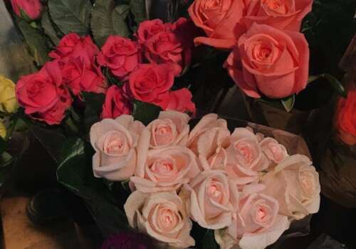 14.爱的程度，我敢错过数千次。