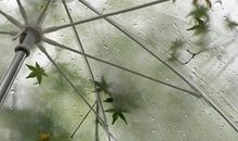 《人间失格》经典语录