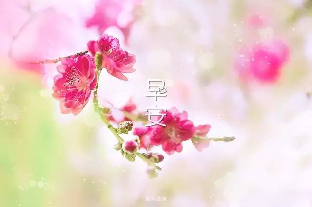 早上好,积极的能量谈论朋友圈1