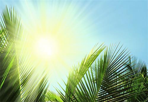 早上好，美丽的句子短句1