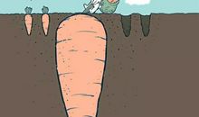 动漫中励志语录