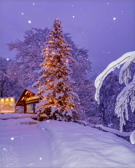 描写冬季雪花的句子