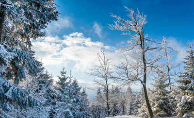 在冬季判断了一节经文