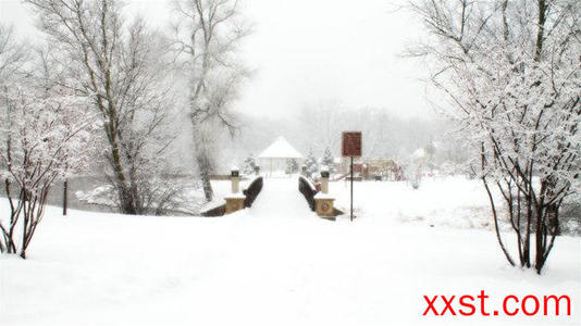 赞美雪的现代诗