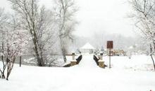 赞美雪的现代诗