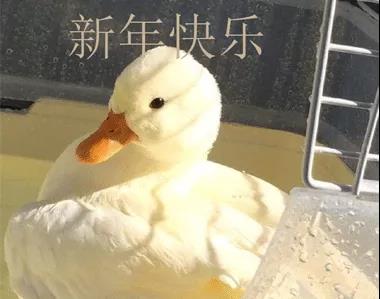 最后,工作的最后一天说,工作的最后一天说