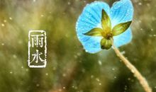 雨水发朋友圈的唯美句子