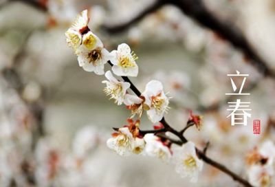 艺术清新,美丽,春句2